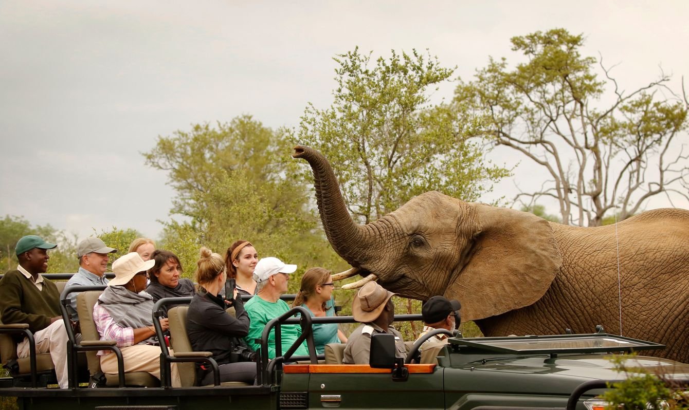 Lower Zambezi national park